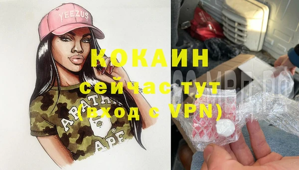 мдпв Богородск
